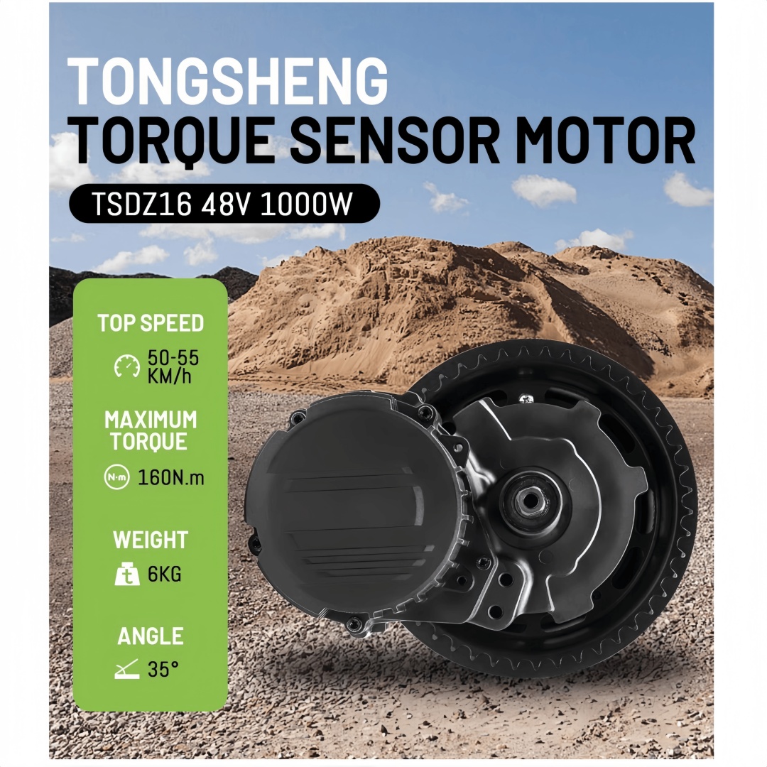 TONGSHENG TSDZ16 48 V 1000 W E – Mid Drive Conversion Kit 1000W Bewertung und Preis