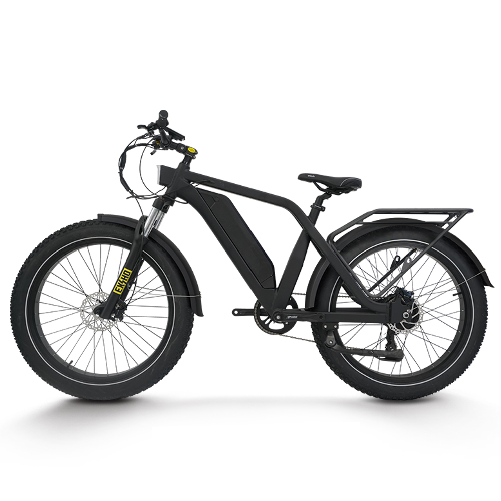 Elektrofahrrad für Erwachsene  – 48V 1500W Rear Hub Motor With Battery Bewertung und Preis
