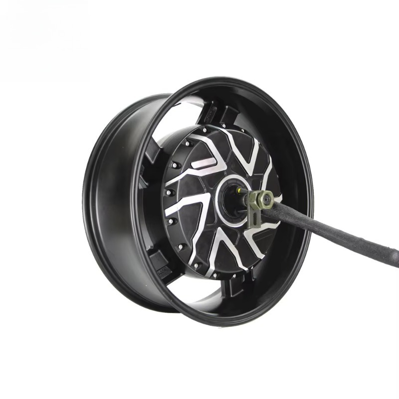 QSMOTOR 17X6,0 Zoll 273 12000W – 12000W Electric Motorcycle Hub Motor Bewertung und Preis