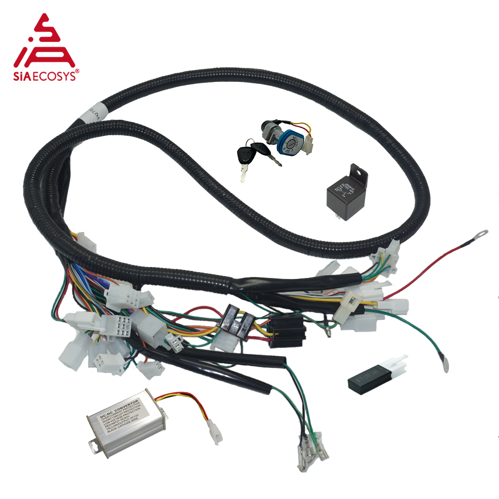 Elektroroller 1000W Mittelmoto – Mid Drive Conversion Kit 1000W Bewertung und Preis